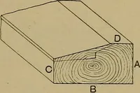 An illustration from Cassells' carpentry and joinery (1907)