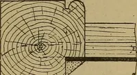 An illustration from Cassells' carpentry and joinery (1907)