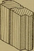 An illustration from Cassells' carpentry and joinery (1907)