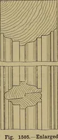 An illustration from Cassells' carpentry and joinery (1907)