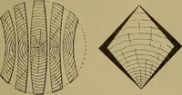 Picture 75 of 1062 from Cassells' carpentry and joinery (1907), leaf 50