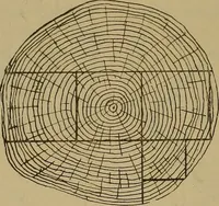 Picture 79 of 1062 from Cassells' carpentry and joinery (1907), leaf 51
