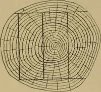 An illustration from Cassells' carpentry and joinery (1907)