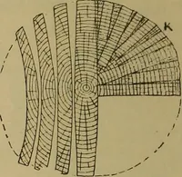 An illustration from Cassells' carpentry and joinery (1907)