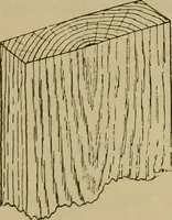 An illustration from Cassells' carpentry and joinery (1907)