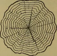 An illustration from Cassells' carpentry and joinery (1907)