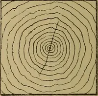 An illustration from Cassells' carpentry and joinery (1907)