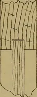 An illustration from Cassells' carpentry and joinery (1907)