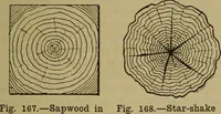 Picture 95 of 1062 from Cassells' carpentry and joinery (1907), leaf 56