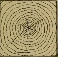 An illustration from Cassells' carpentry and joinery (1907)