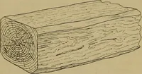 Picture 97 of 1062 from Cassells' carpentry and joinery (1907), leaf 56