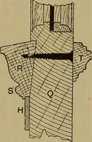 An illustration from Cassells' carpentry and joinery (1907)