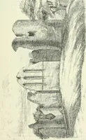 Picture 92 of 531 from The castellated and domestic architecture of Scotland, from the twelfth to the eighteenth century (1887), leaf 130