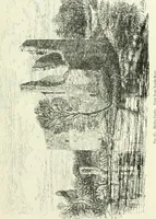An illustration from The castellated and domestic architecture of Scotland, from the twelfth to the eighteenth century (1887)