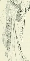 An illustration from The castellated and domestic architecture of Scotland, from the twelfth to the eighteenth century (1887)