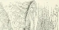 Picture 164 of 531 from The castellated and domestic architecture of Scotland, from the twelfth to the eighteenth century (1887), leaf 205