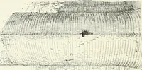 Picture 7 of 531 from The castellated and domestic architecture of Scotland, from the twelfth to the eighteenth century (1887), leaf 29