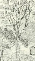 An illustration from The castellated and domestic architecture of Scotland, from the twelfth to the eighteenth century (1887)