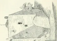 An illustration from The castellated and domestic architecture of Scotland, from the twelfth to the eighteenth century (1887)