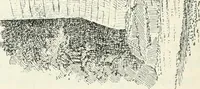 Picture 416 of 531 from The castellated and domestic architecture of Scotland, from the twelfth to the eighteenth century (1887), leaf 455