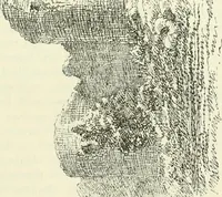 Picture 61 of 531 from The castellated and domestic architecture of Scotland, from the twelfth to the eighteenth century (1887), leaf 96