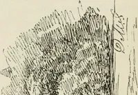 Picture 155 of 534 from The castellated and domestic architecture of Scotland, from the twelfth to the eighteenth century (1887), leaf 185