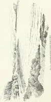An illustration from The castellated and domestic architecture of Scotland, from the twelfth to the eighteenth century (1887)