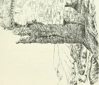 An illustration from The castellated and domestic architecture of Scotland, from the twelfth to the eighteenth century (1887)