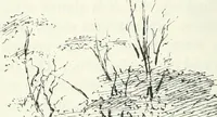 An illustration from The castellated and domestic architecture of Scotland, from the twelfth to the eighteenth century (1887)