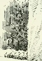 An illustration from The castellated and domestic architecture of Scotland, from the twelfth to the eighteenth century (1887)