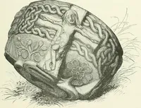 Picture 593 of 602 from The castellated and domestic architecture of Scotland, from the twelfth to the eighteenth century (1887), leaf 674