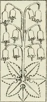 An illustration from The castellated and domestic architecture of Scotland, from the twelfth to the eighteenth century (1887)