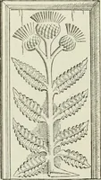 Picture 523 of 523 from The castellated and domestic architecture of Scotland, from the twelfth to the eighteenth century (1887), leaf 559