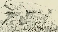 Picture 395 of 564 from The castellated and domestic architecture of Scotland, from the twelfth to the eighteenth century (1887), leaf 399