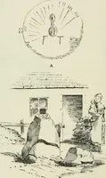 Picture 550 of 564 from The castellated and domestic architecture of Scotland, from the twelfth to the eighteenth century (1887), leaf 517