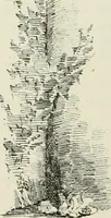 Picture 562 of 564 from The castellated and domestic architecture of Scotland, from the twelfth to the eighteenth century (1887), leaf 529