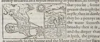Picture 10 of 15 from The castle of knowledge (1556), leaf 132
