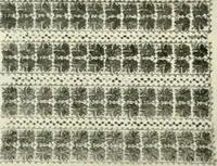 Picture 54 of 167 from [Catalog] (1914), leaf 17