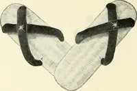 An illustration from [Catalog] (1914)
