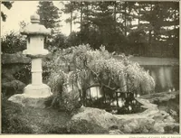 Picture 167 of 167 from [Catalog] (1914), leaf 50