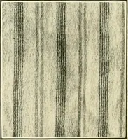 An illustration from [Catalog] (1914)