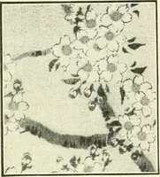 An illustration from [Catalog] (1914)