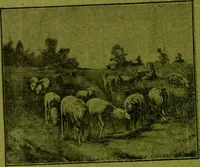 An illustration from [Catalog] (1902)
