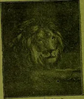 An illustration from [Catalog] (1902)