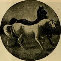 An illustration from [Catalog] (1902)