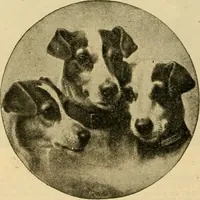An illustration from [Catalog] (1902)