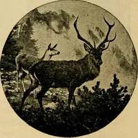 An illustration from [Catalog] (1902)