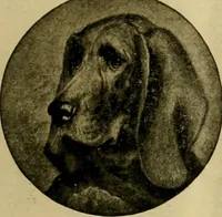 An illustration from [Catalog] (1902)