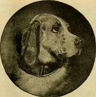 An illustration from [Catalog] (1902)