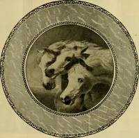 An illustration from [Catalog] (1902)